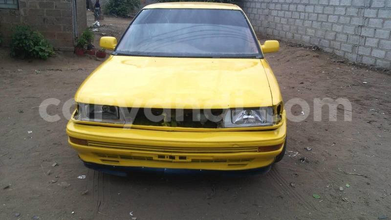 Big with watermark 14344360 195243170887525 1476089703380270021 n