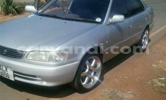 Tenga Tsaru Toyota Corolla Sirivha Mota in Chipata in Zambia Tenga Tsaru Toyota Corolla Sirivha Mota in Chipata in Zambia