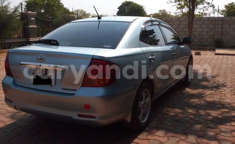 Big with watermark 14572839 1276538899057194 7605807282165903254 n