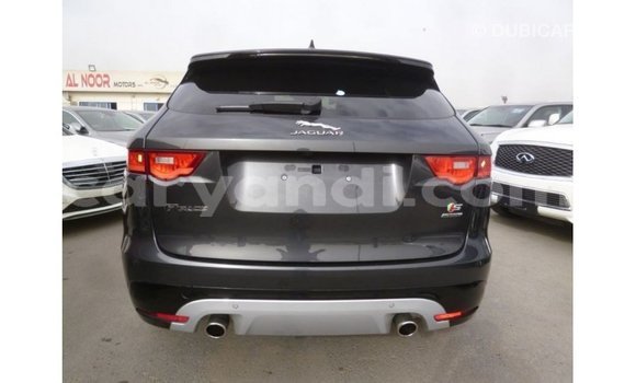 Buy Import Jaguar F-Type Black Car in Import - Dubai in Zambia Buy Import Jaguar F-Type Black Car in Import - Dubai in Zambia