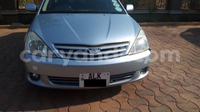 Big with watermark 14695326 1276538865723864 3907257530309395993 n