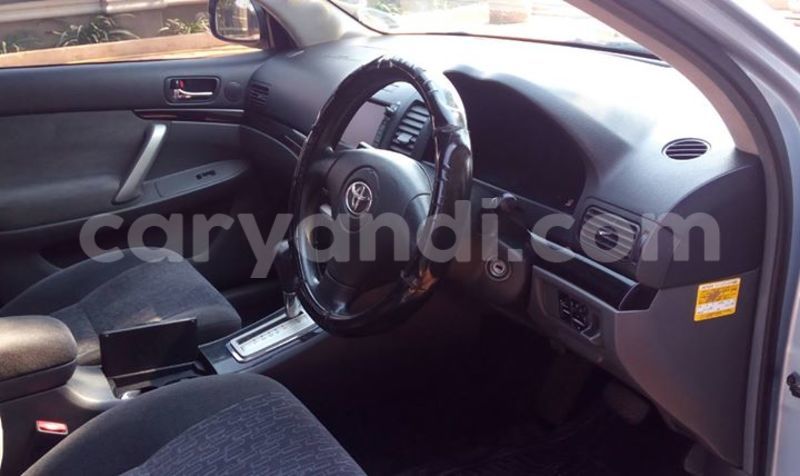 Big with watermark 14937420 10210899464142563 5142262507148257599 n