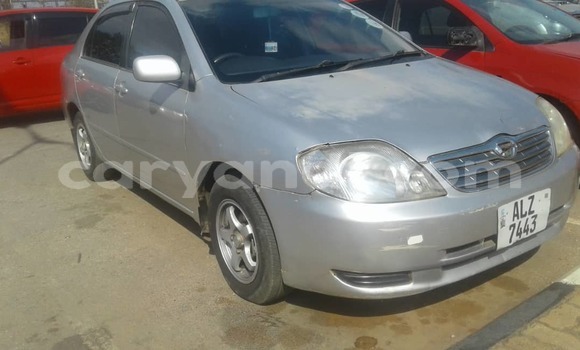 Buy Used Toyota Corolla Silver Car in Lusaka in Zambia Buy Used Toyota Corolla Silver Car in Lusaka in Zambia
