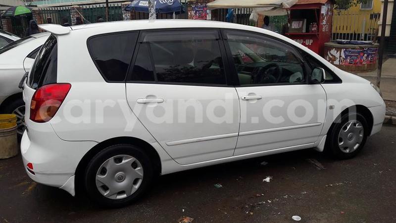 Big with watermark 14572839 1276538899057194 7605807282165903254 n