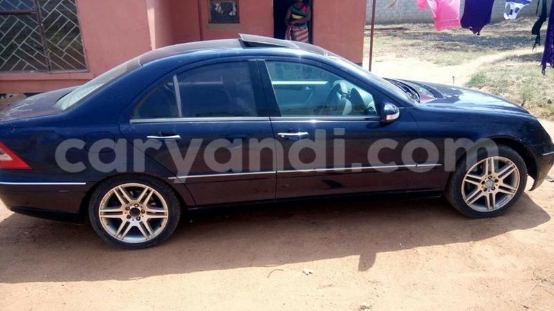 Big with watermark 14937420 10210899464142563 5142262507148257599 n