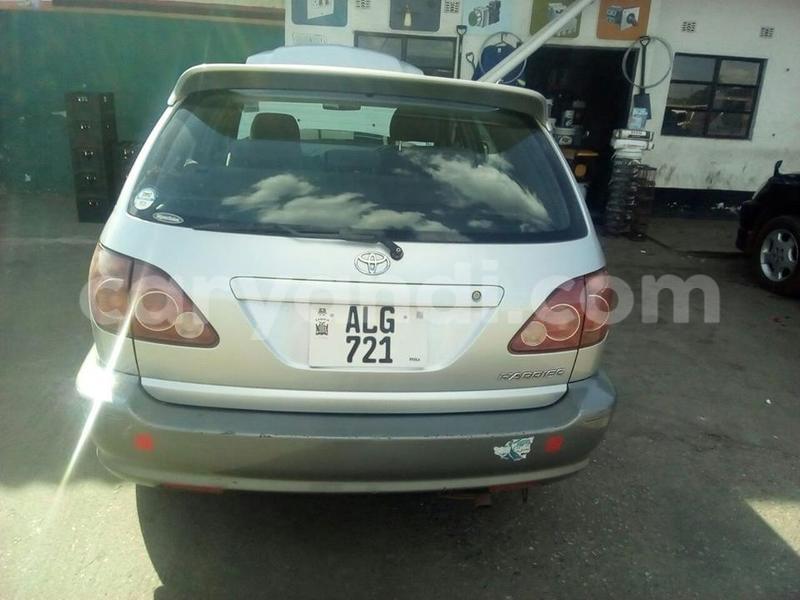 Big with watermark 14572839 1276538899057194 7605807282165903254 n