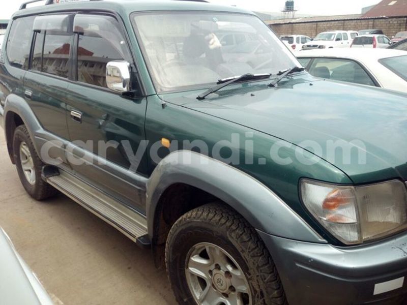 Big with watermark 14572839 1276538899057194 7605807282165903254 n