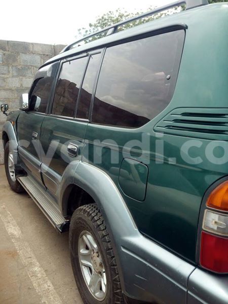 Big with watermark 14695326 1276538865723864 3907257530309395993 n