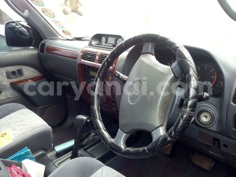 Big with watermark 14937420 10210899464142563 5142262507148257599 n