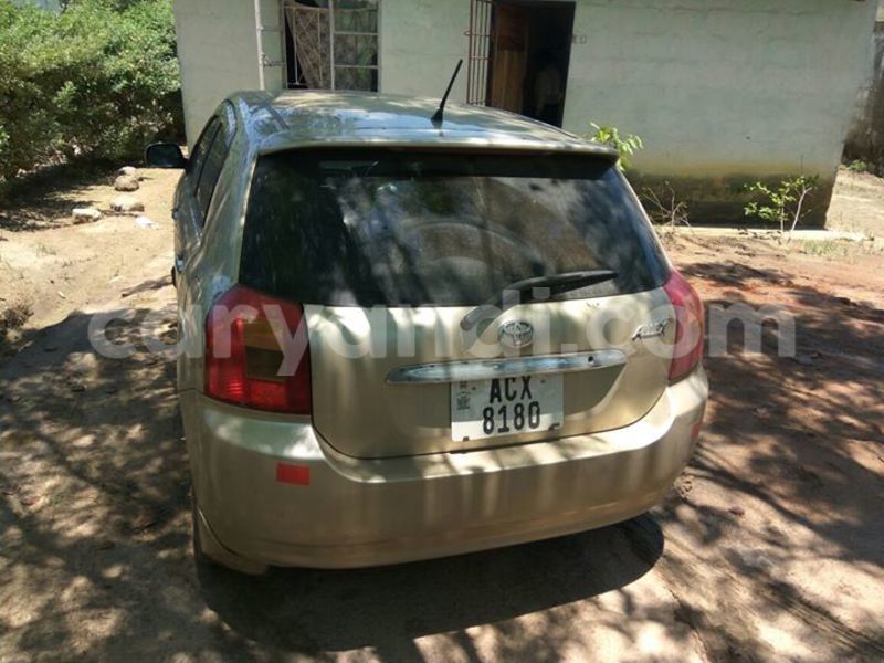 Big with watermark 14695326 1276538865723864 3907257530309395993 n