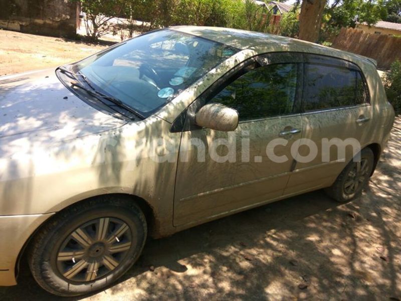 Big with watermark 14937420 10210899464142563 5142262507148257599 n