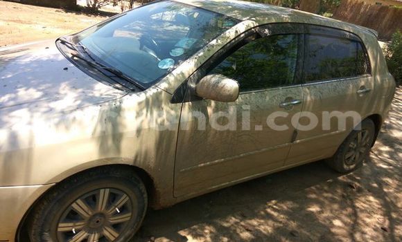 Buy Used Toyota Allex Other Car in Chipata in Zambia Buy Used Toyota Allex Other Car in Chipata in Zambia