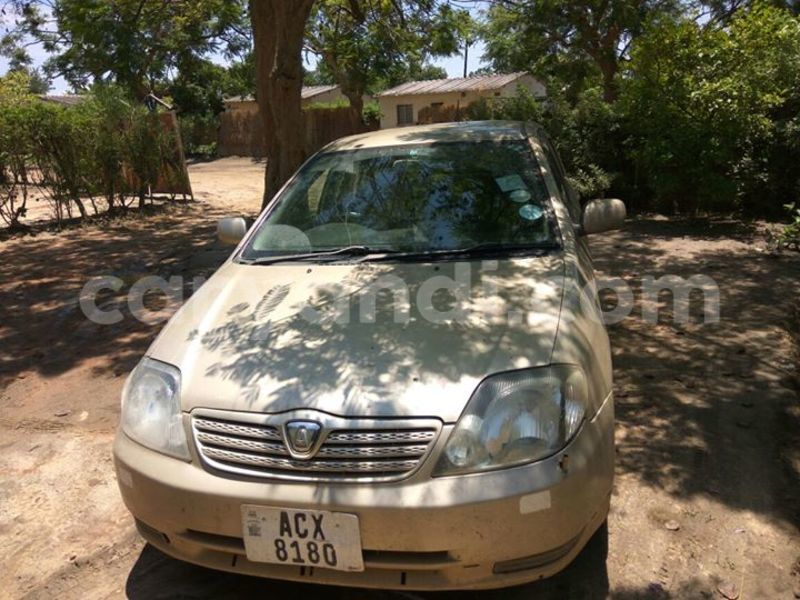 Big with watermark 14572839 1276538899057194 7605807282165903254 n