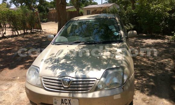 Buy Used Toyota Allex Other Car in Chipata in Zambia Buy Used Toyota Allex Other Car in Chipata in Zambia