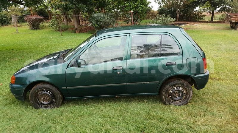 Big with watermark 14572839 1276538899057194 7605807282165903254 n