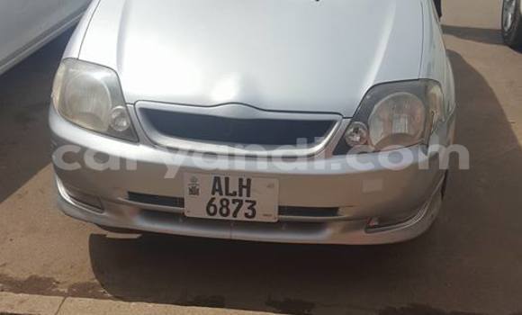 Buy Used Toyota Runx Silver Car in Chipata in Zambia Buy Used Toyota Runx Silver Car in Chipata in Zambia