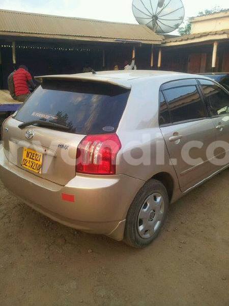 Big with watermark 14572839 1276538899057194 7605807282165903254 n