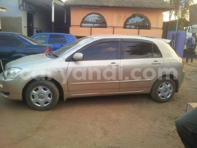 Big with watermark 14937420 10210899464142563 5142262507148257599 n