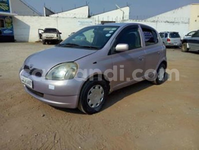 Big with watermark 69612461 10218265845071998 929673944988909568 n