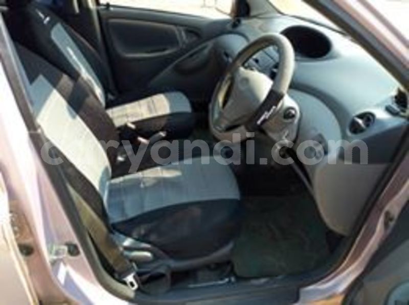 Big with watermark 69444684 10218265846272028 4701753750367240192 n