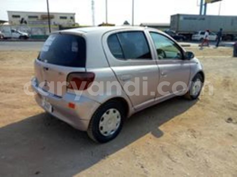 Big with watermark 69355464 10218265845432007 4482853595301019648 n