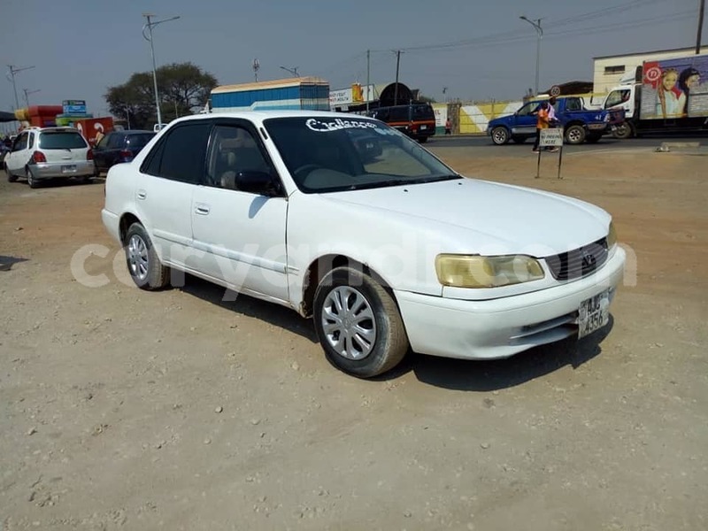 Big with watermark 69678570 10218265057132300 3817851825902583808 n 1