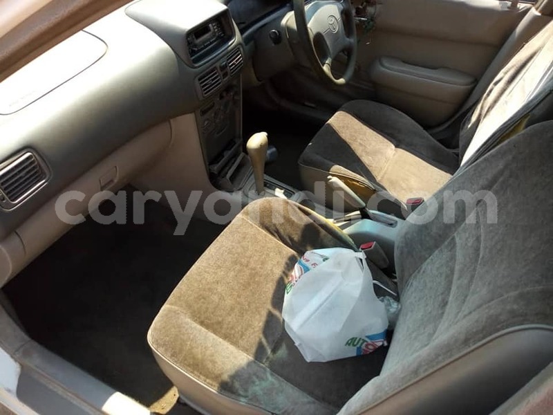 Big with watermark 69822421 10218265057892319 9135160598370189312 n