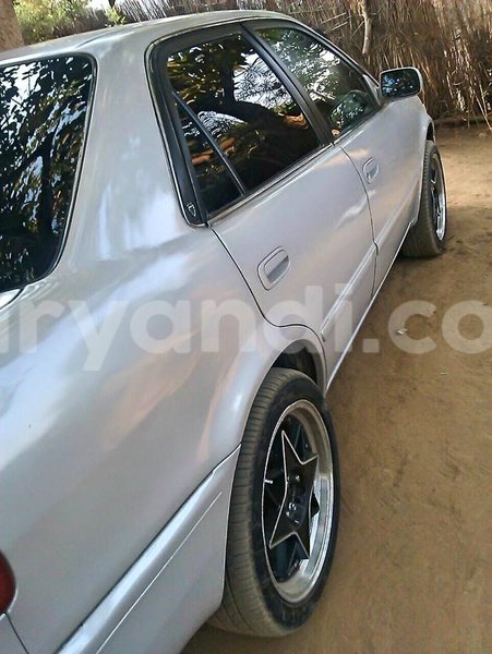 Big with watermark 14572839 1276538899057194 7605807282165903254 n