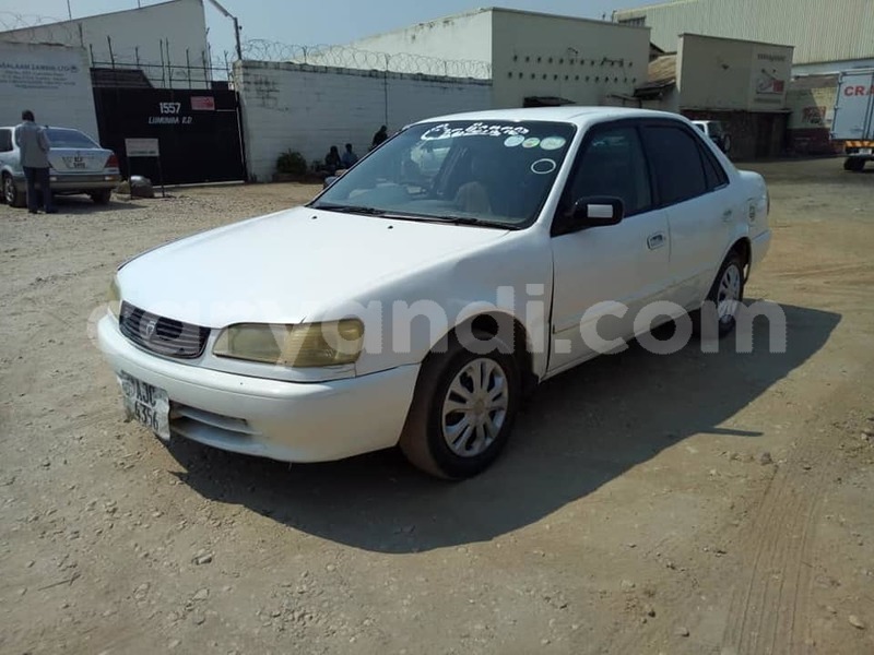 Big with watermark 69264321 10218265057372306 7002378597654593536 n