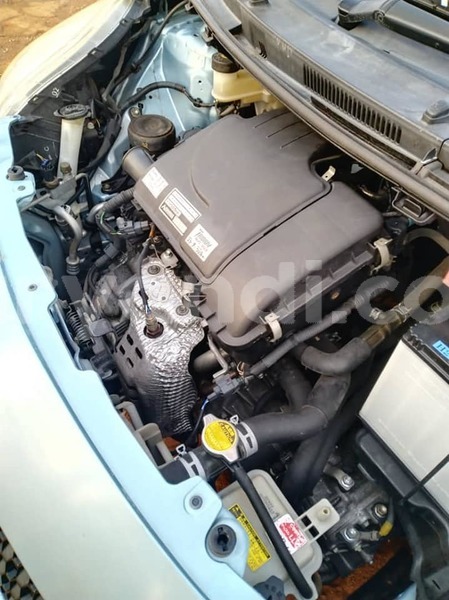 Big with watermark 69666931 10218228887628085 567318257283891200 n