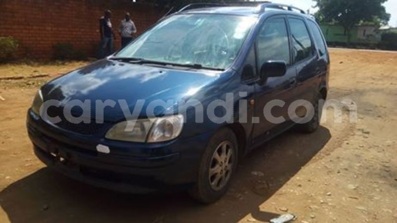 Big with watermark 68378617 10218179795440811 2847927234121957376 n