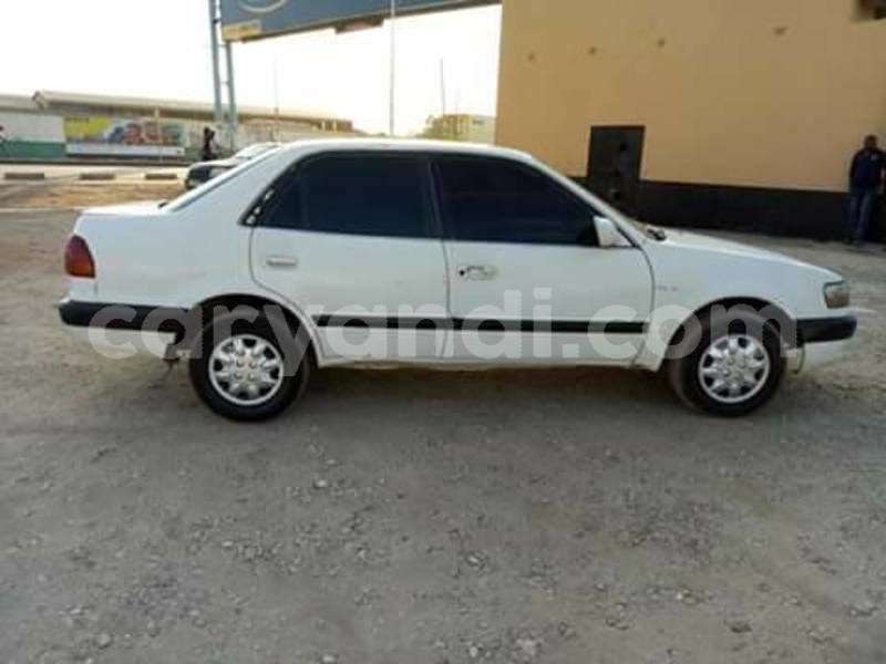 Big with watermark 68756008 10218179331909223 7309044901881053184 n