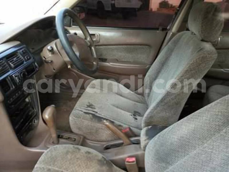 Big with watermark 68738152 10218179332389235 3881220460582535168 n