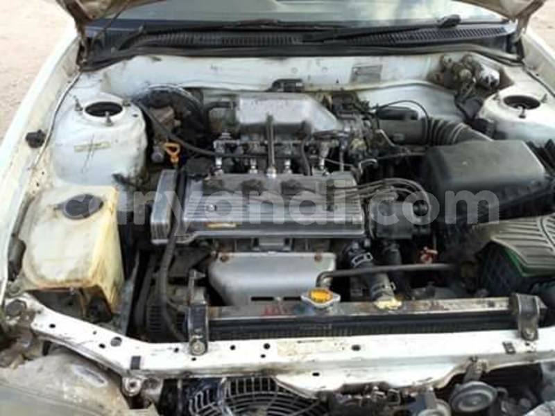 Big with watermark 69332676 10218179332229231 1972741353079046144 n