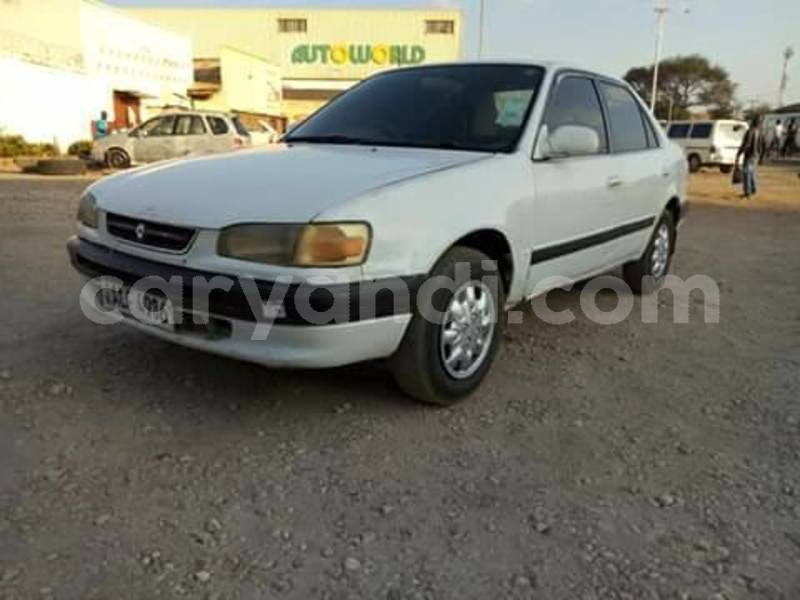 Big with watermark 68739598 10218179331749219 1373540389620809728 n