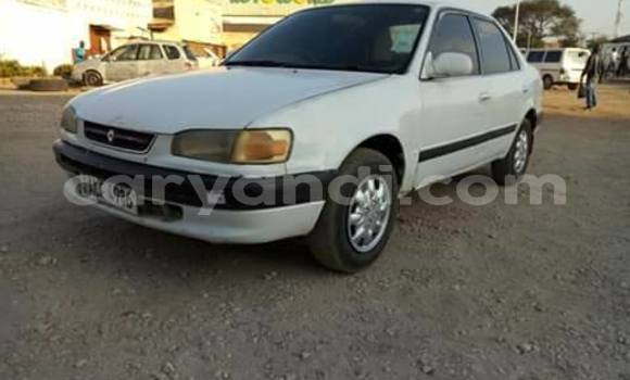 Acheter Occasion Voiture Toyota Corolla Blanc à Lusaka, Zambie Acheter Occasion Voiture Toyota Corolla Blanc à Lusaka, Zambie