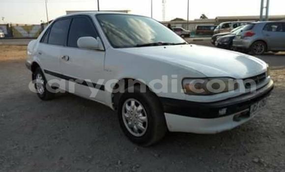 Acheter Occasion Voiture Toyota Corolla Blanc à Lusaka, Zambie Acheter Occasion Voiture Toyota Corolla Blanc à Lusaka, Zambie