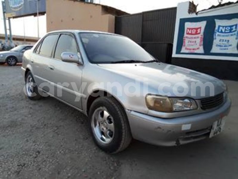 Big with watermark 67874178 10218139405151079 5208089411987701760 n