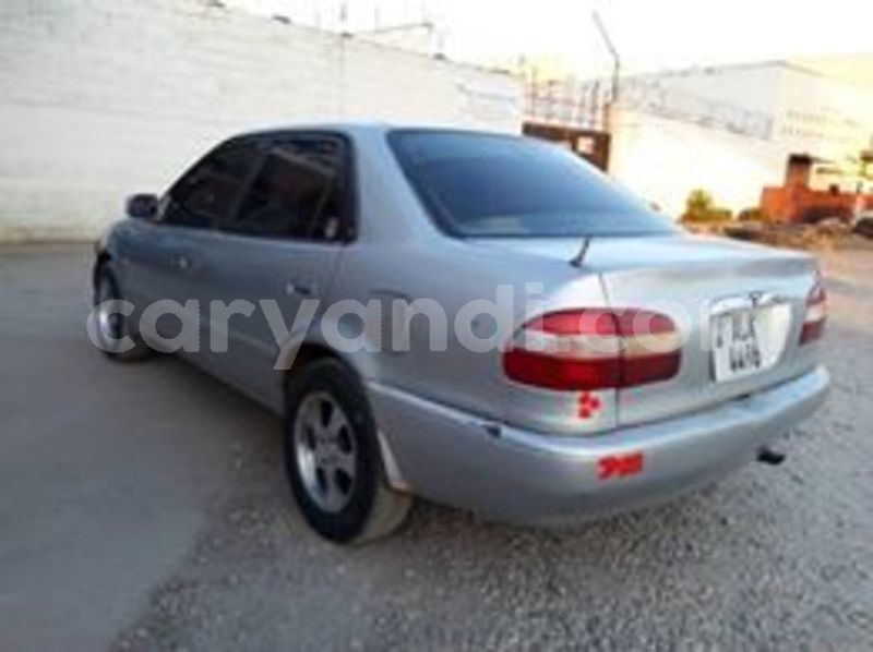 Big with watermark 68478229 10218139405751094 1652604446569398272 n