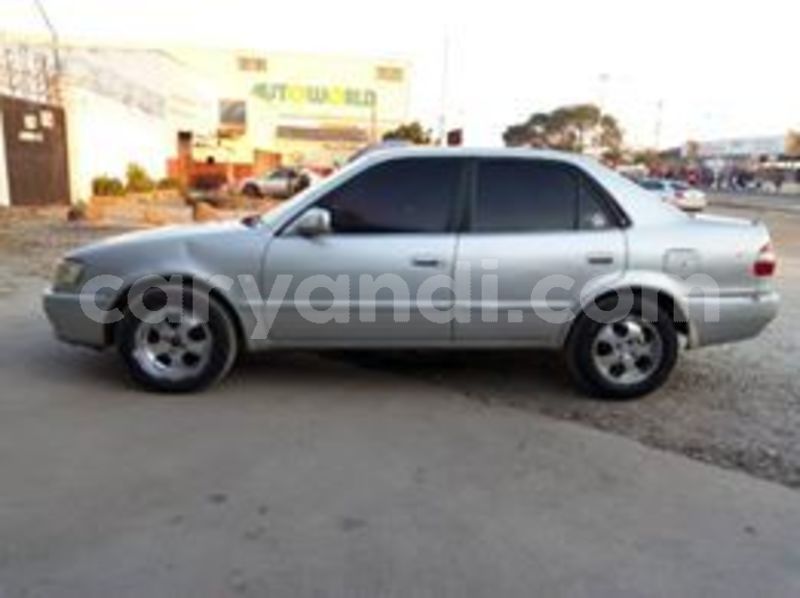 Big with watermark 67982638 10218139405391085 922111070221369344 n