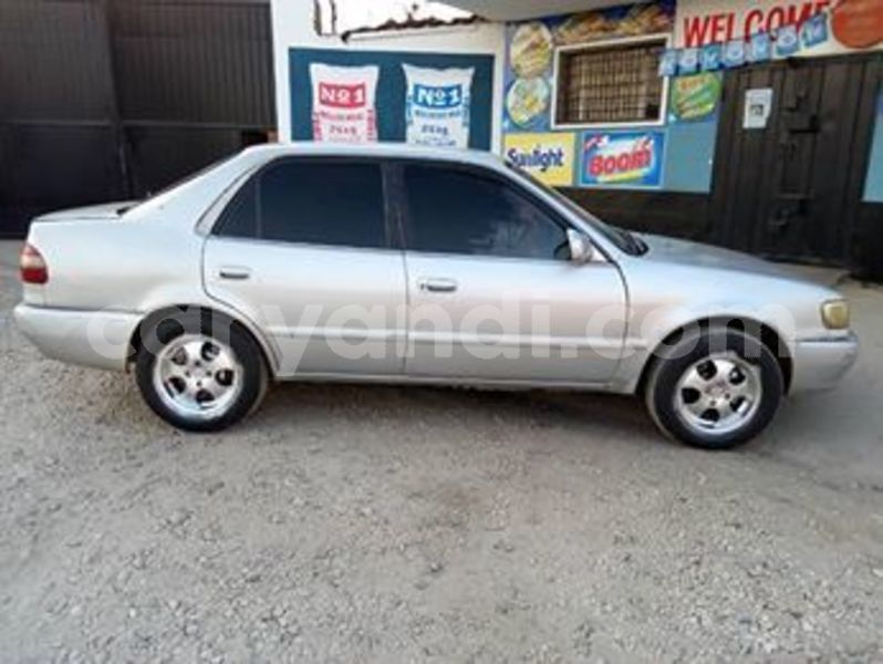 Big with watermark 68599858 10218139404871072 881530784689684480 n