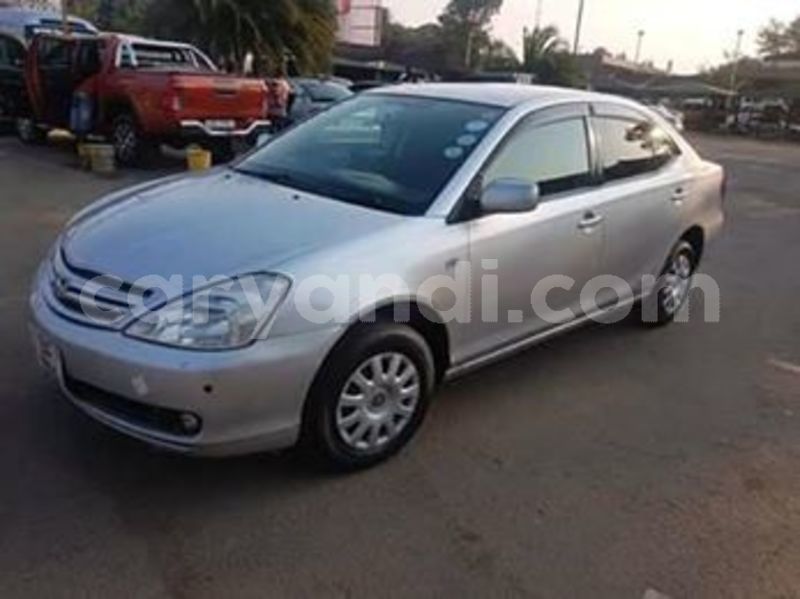 Big with watermark 69540033 272270300395334 2772962428260974592 n