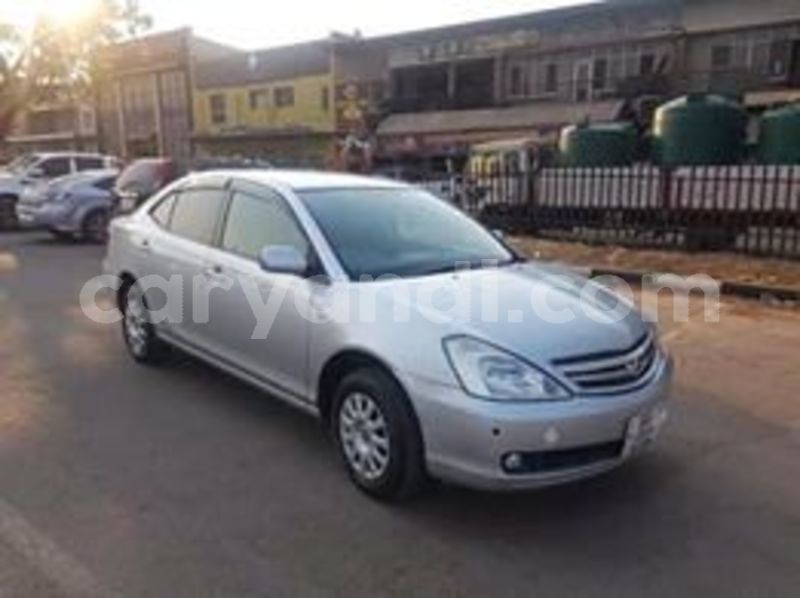 Big with watermark 69480948 272270363728661 3028526090613161984 n