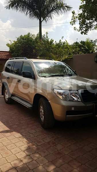 Big with watermark 14572839 1276538899057194 7605807282165903254 n