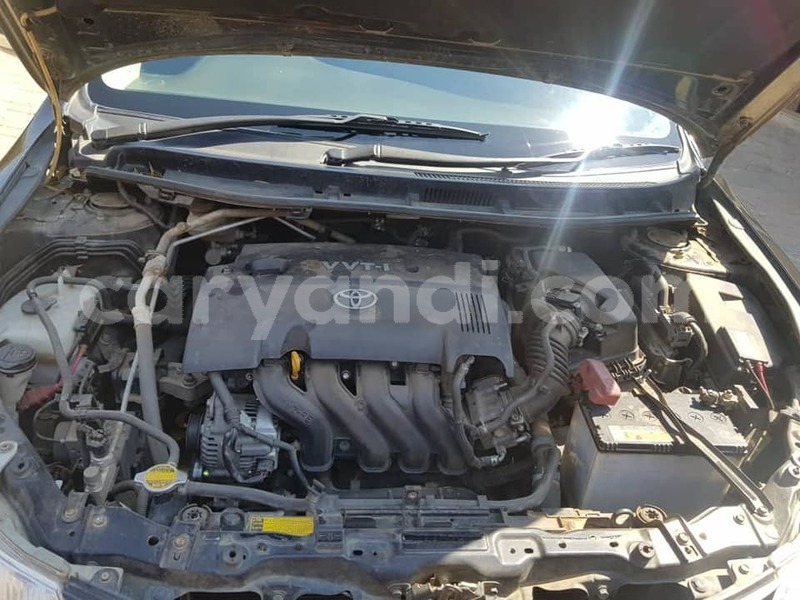 Big with watermark 68801117 267223510900013 5314097610103980032 n