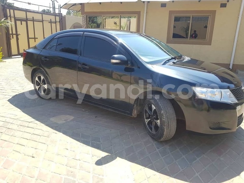 Big with watermark 68416201 267223364233361 2841337968310878208 n