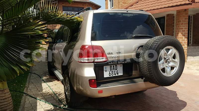 Big with watermark 14937420 10210899464142563 5142262507148257599 n