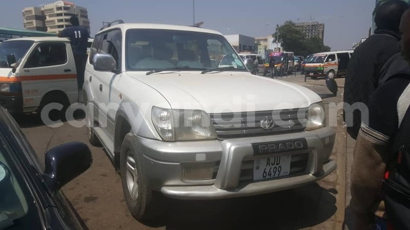 Big with watermark 69309192 235843014053140 6453235628355092480 n