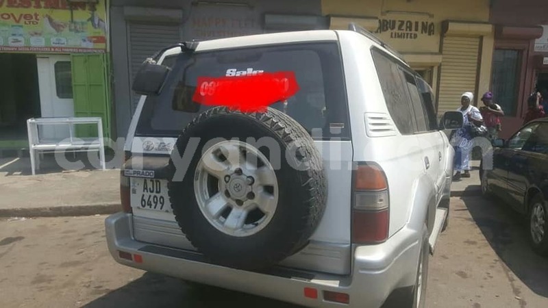 Big with watermark 69426030 235843000719808 8922008209057644544 n