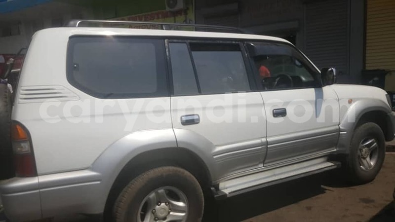 Big with watermark 69245686 235842987386476 6236578859261624320 n